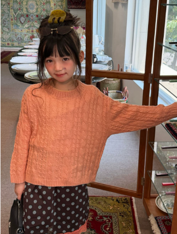 Girls Sweater 2026 Autumn and  - đánh giá và giá Baby Clothing Jumpers